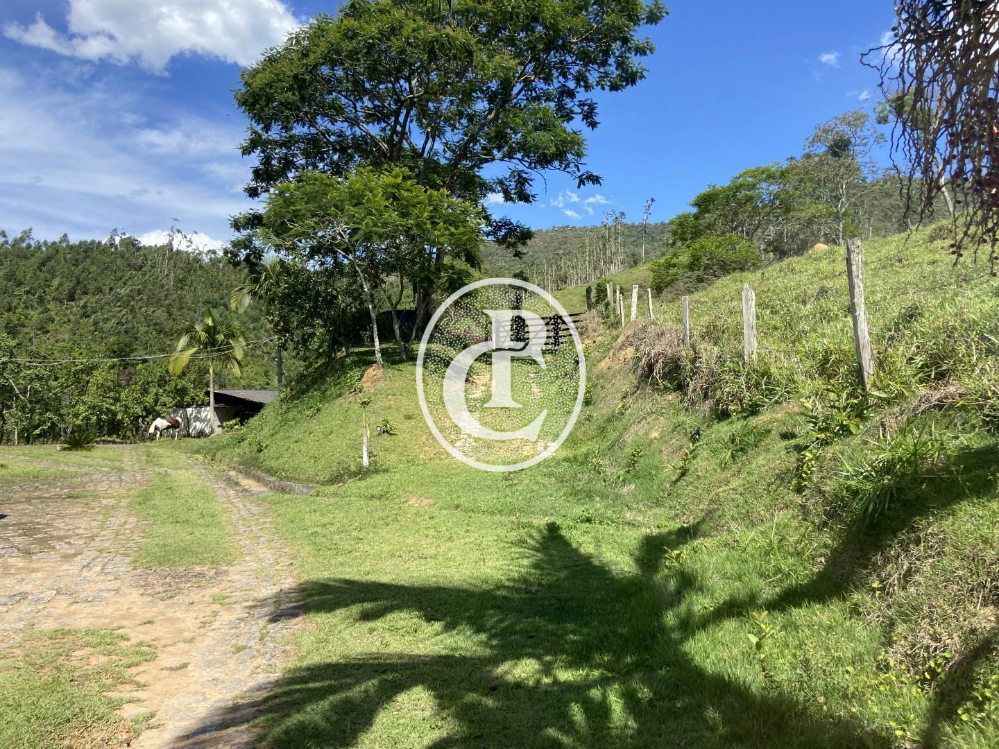 Sítio, 3 quartos, 58 hectares - Foto 2