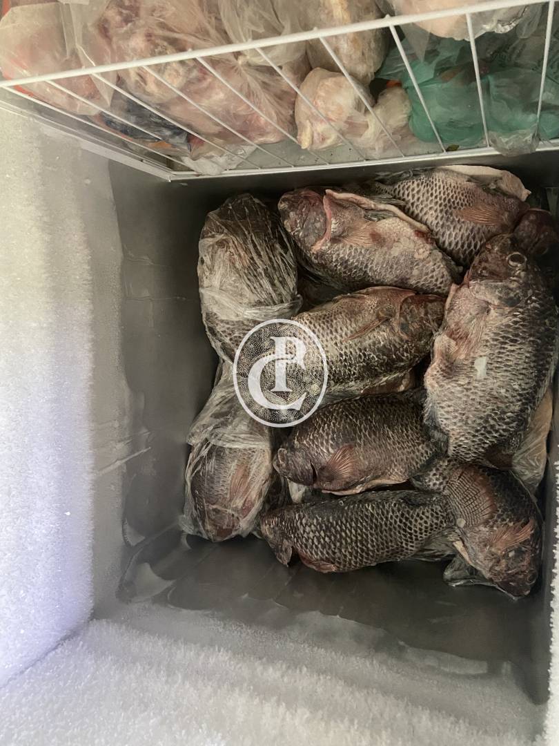 Sítio, 2 quartos, 2 hectares - Foto 7