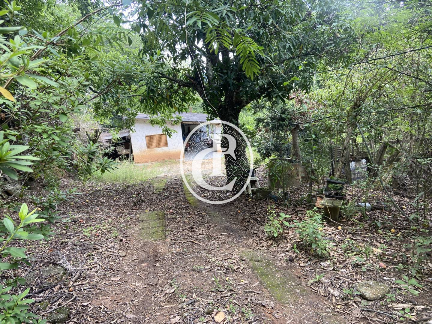 Sítio, 2 quartos, 2 hectares - Foto 11