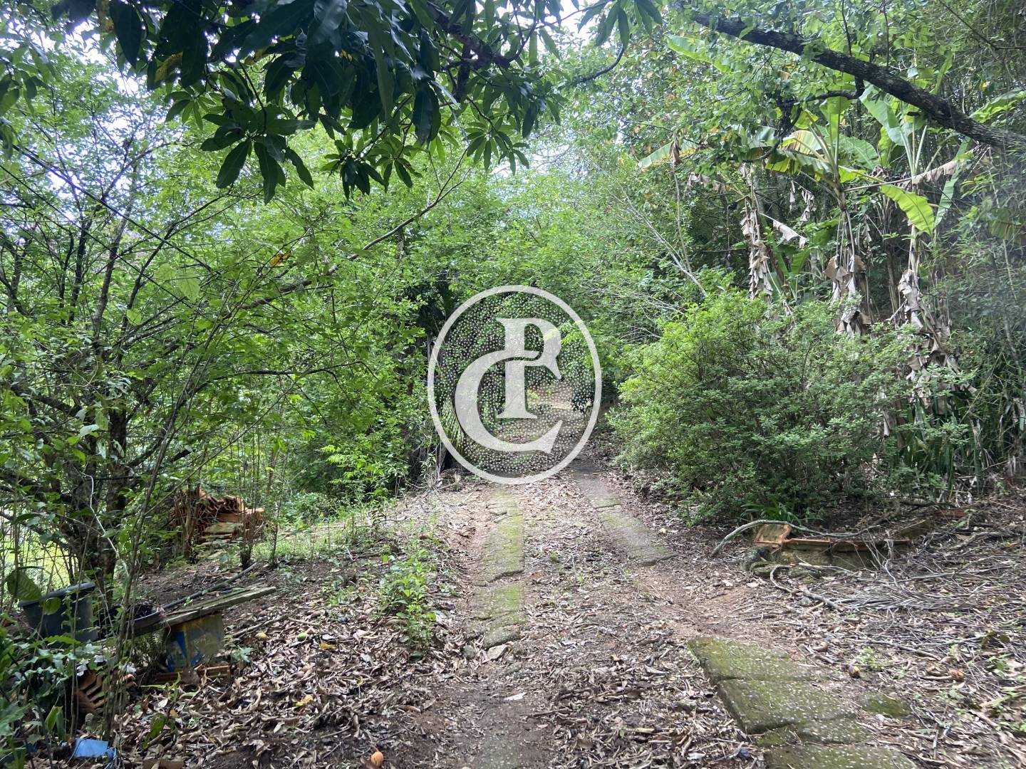 Sítio, 2 quartos, 2 hectares - Foto 13