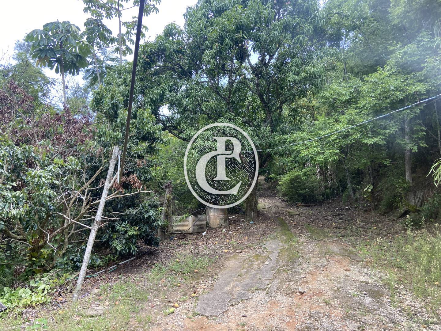 Sítio, 2 quartos, 2 hectares - Foto 1