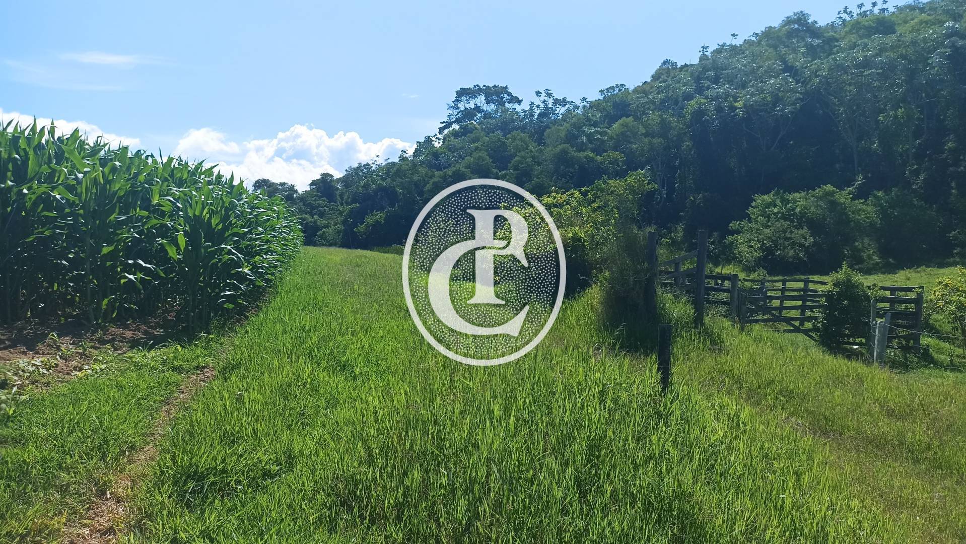 Fazenda, 82 hectares - Foto 1