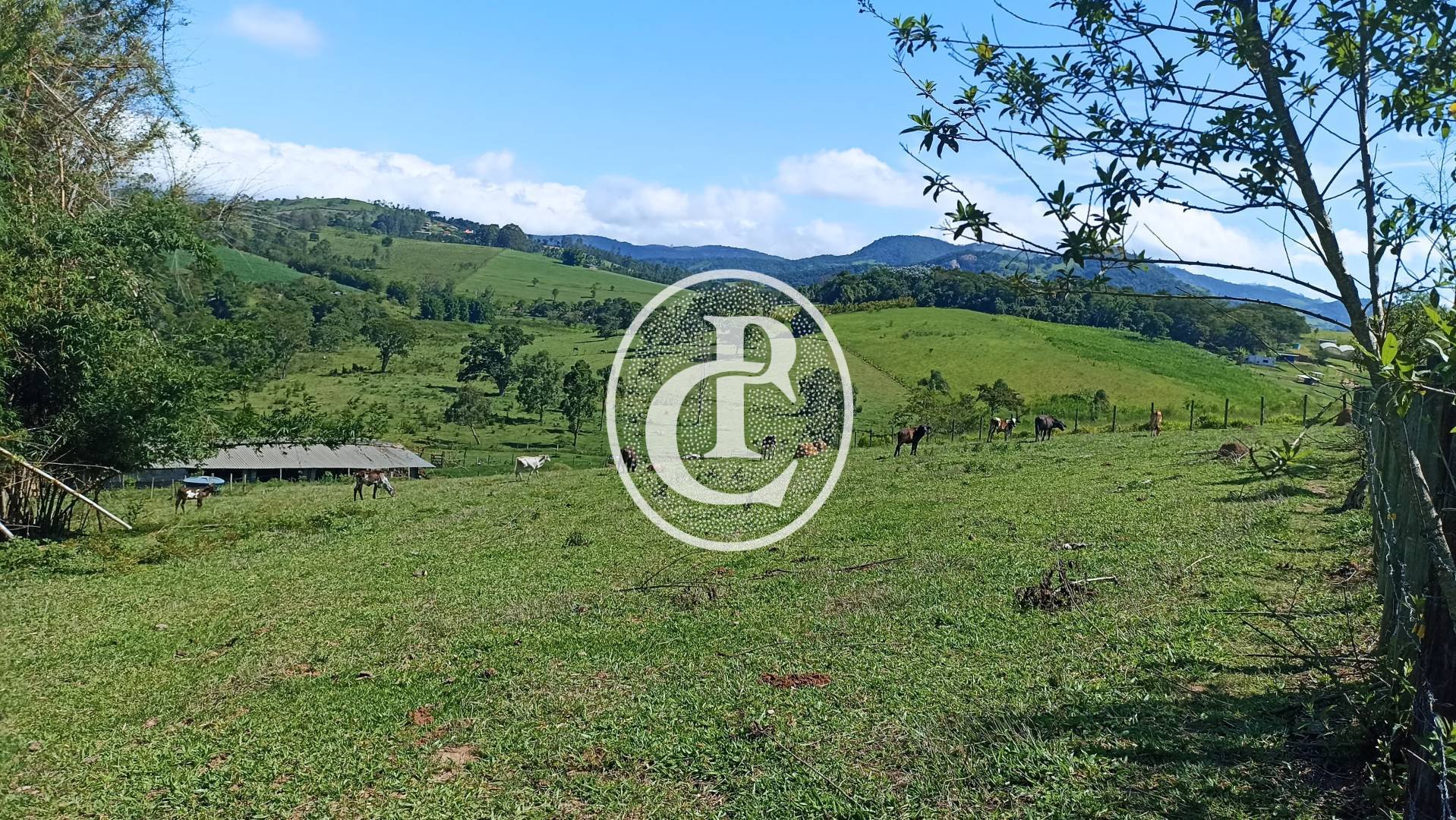 Fazenda, 82 hectares - Foto 3