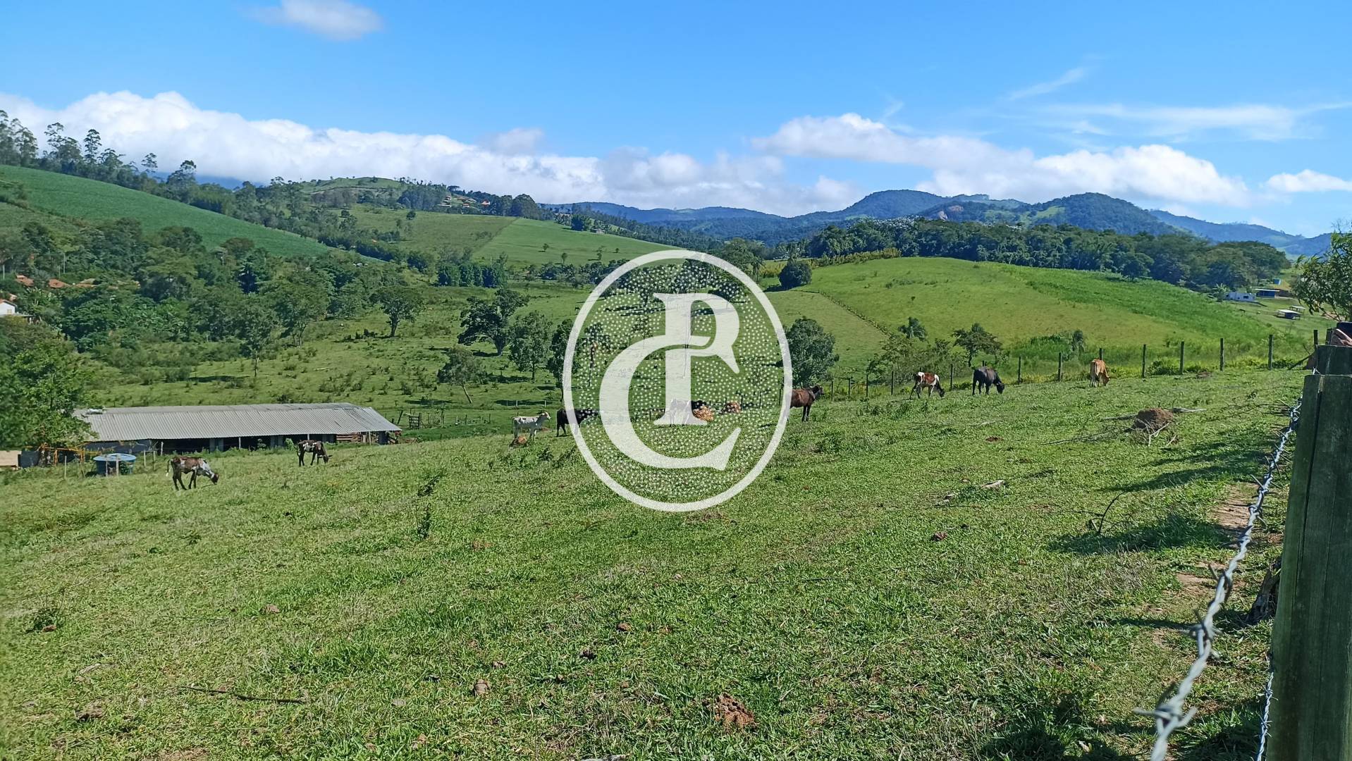 Fazenda, 82 hectares - Foto 4