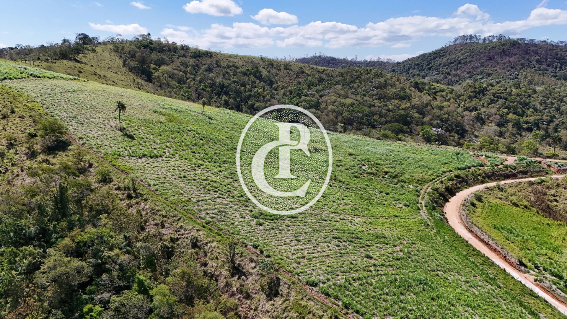 Sítio, 4 quartos, 2 hectares - Foto 17