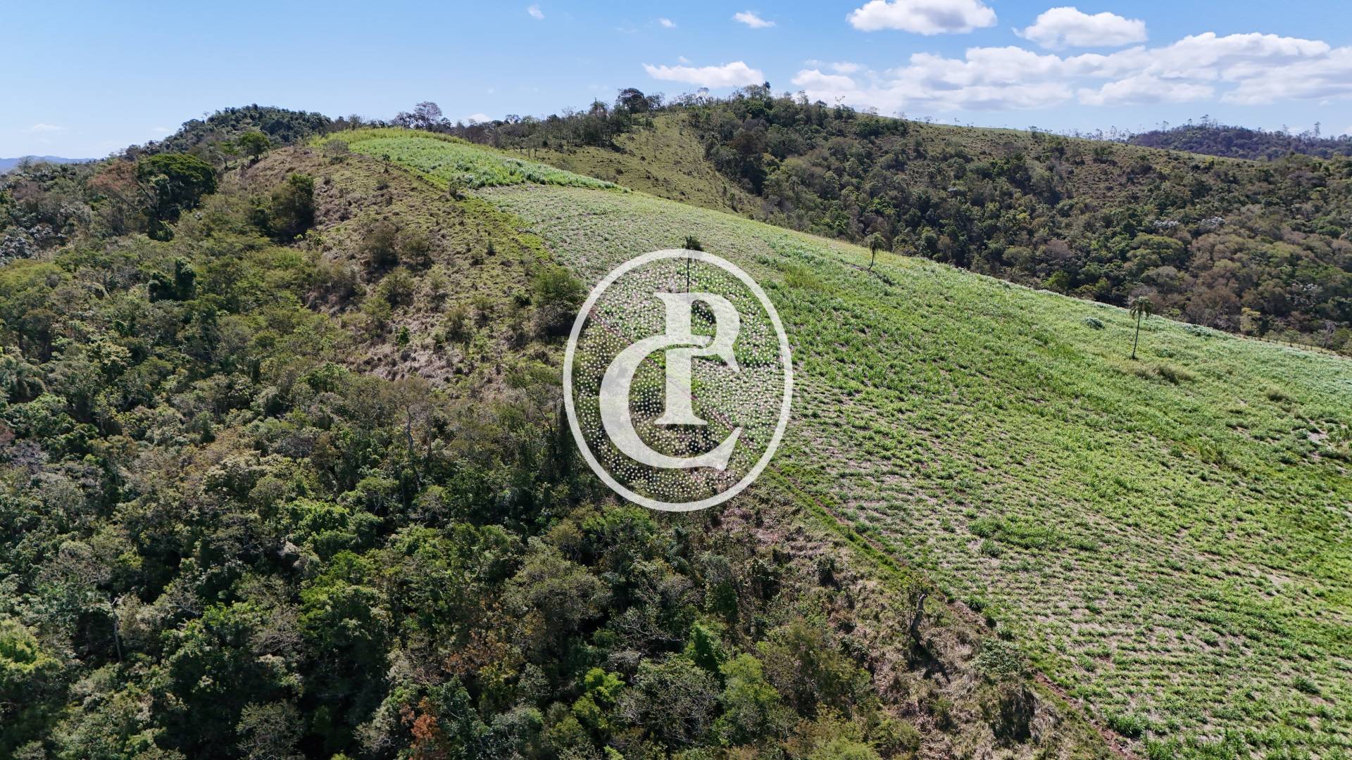 Sítio, 4 quartos, 2 hectares - Foto 18