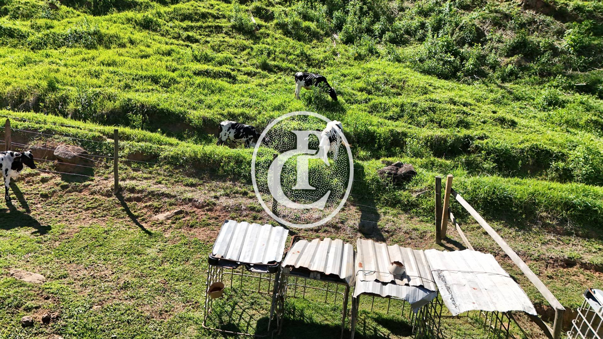 Sítio, 4 quartos, 2 hectares - Foto 25