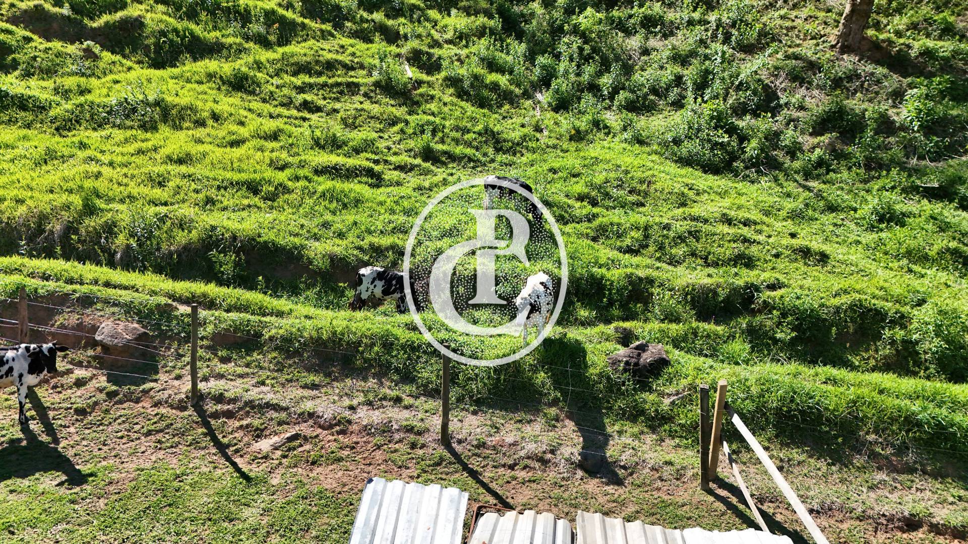 Sítio, 4 quartos, 2 hectares - Foto 26