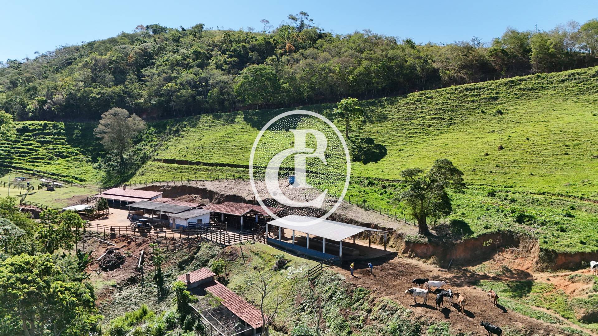 Sítio, 4 quartos, 2 hectares - Foto 31