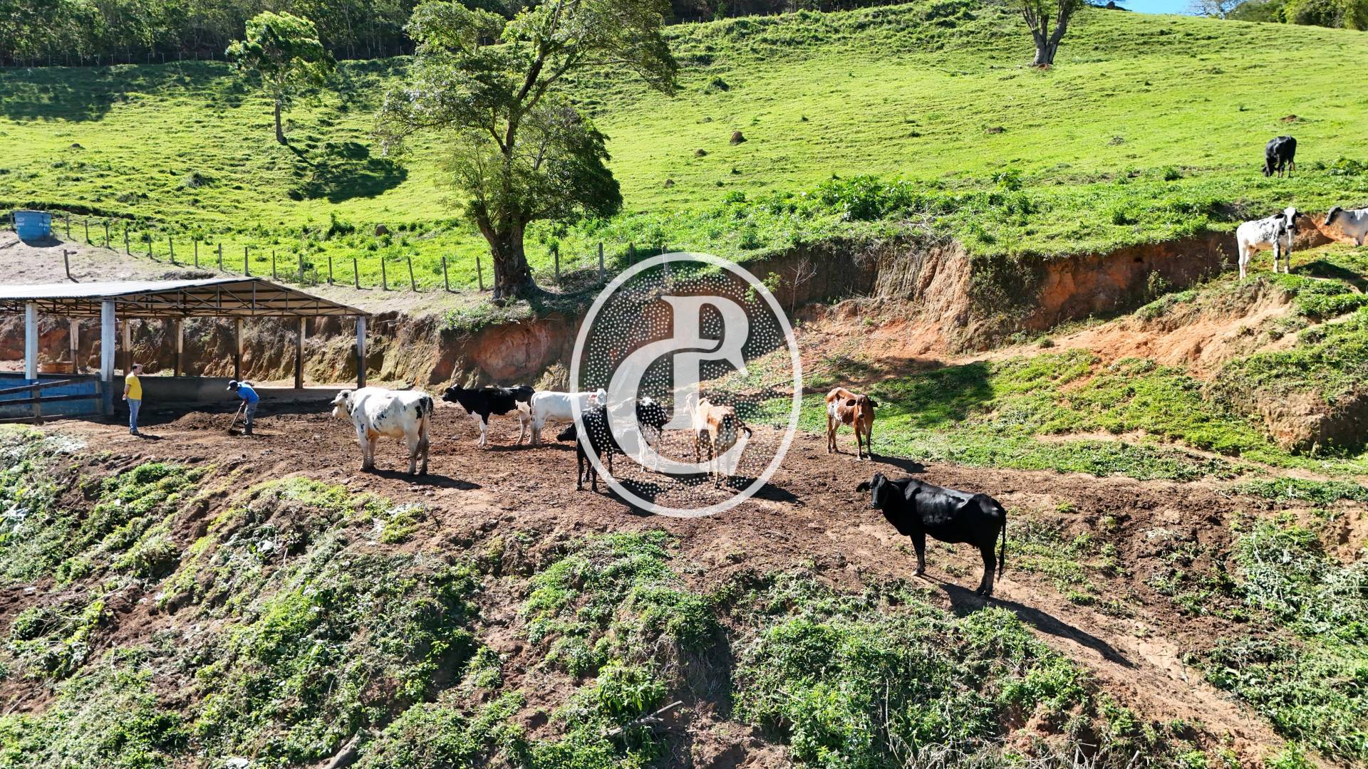 Sítio, 4 quartos, 2 hectares - Foto 32