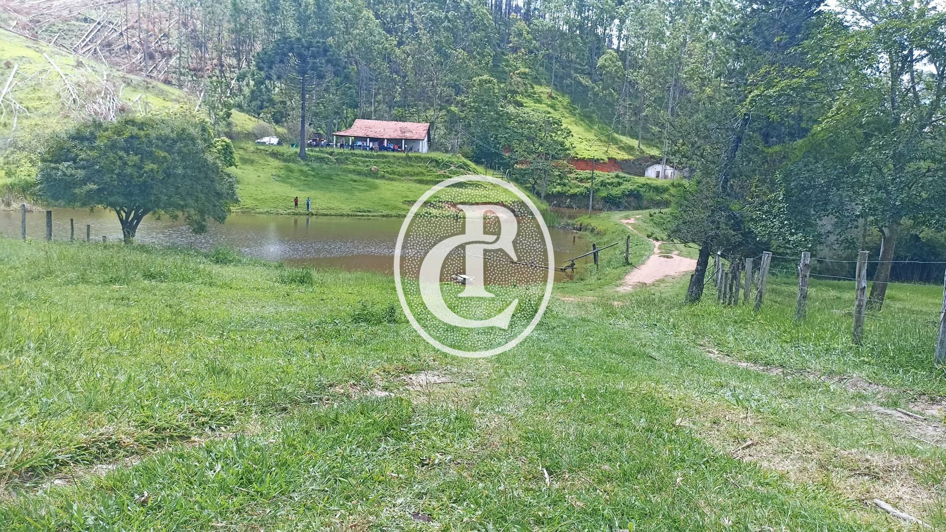 Sítio, 2 quartos, 49 hectares - Foto 3