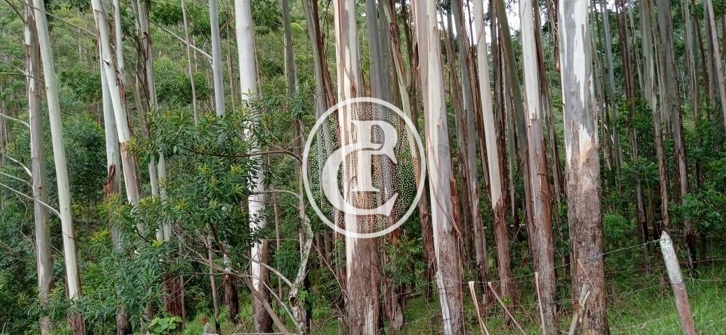 Fazenda, 500 m² - Foto 78