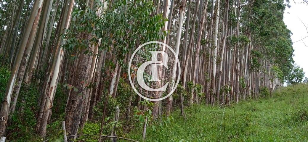 Fazenda, 500 m² - Foto 77