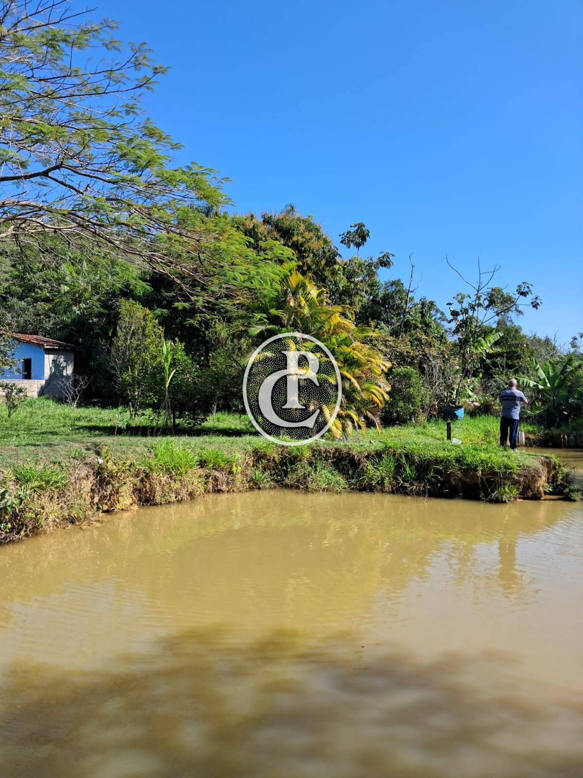 Chácara, 3 quartos, 3000 m² - Foto 4