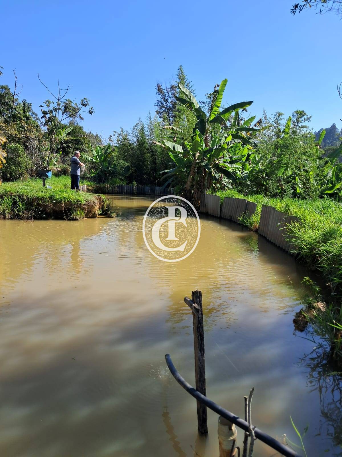 Chácara, 3 quartos, 3000 m² - Foto 13