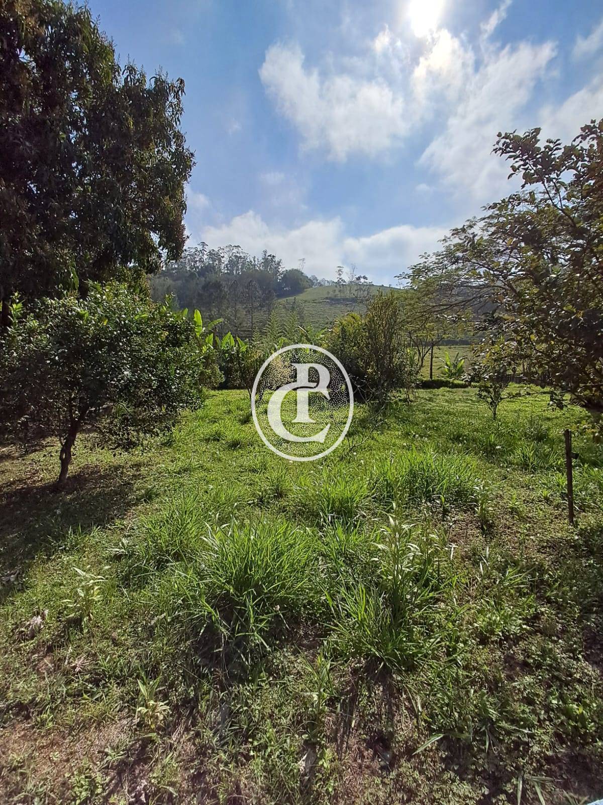 Chácara, 3 quartos, 3000 m² - Foto 15