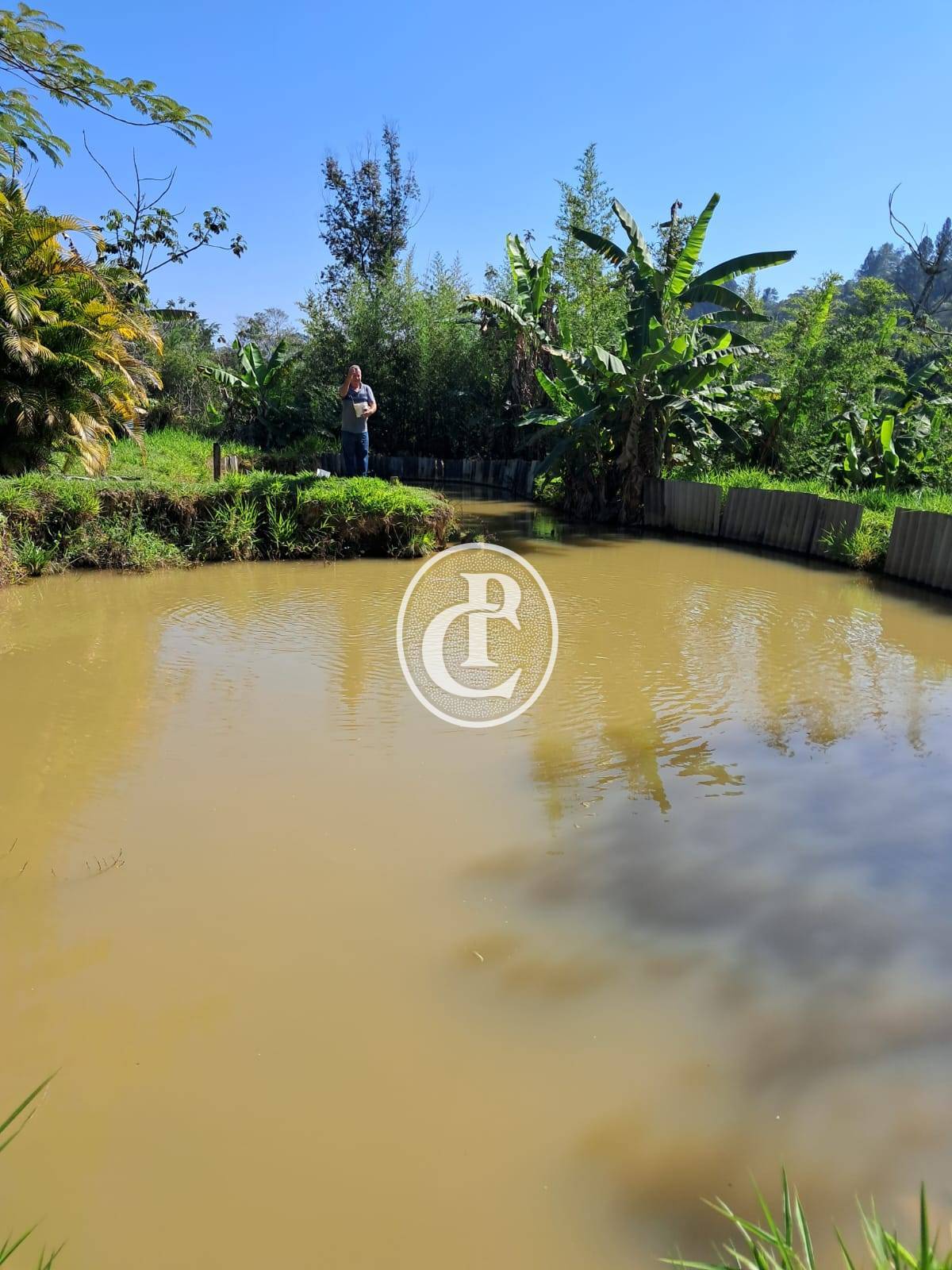 Chácara, 3 quartos, 3000 m² - Foto 17