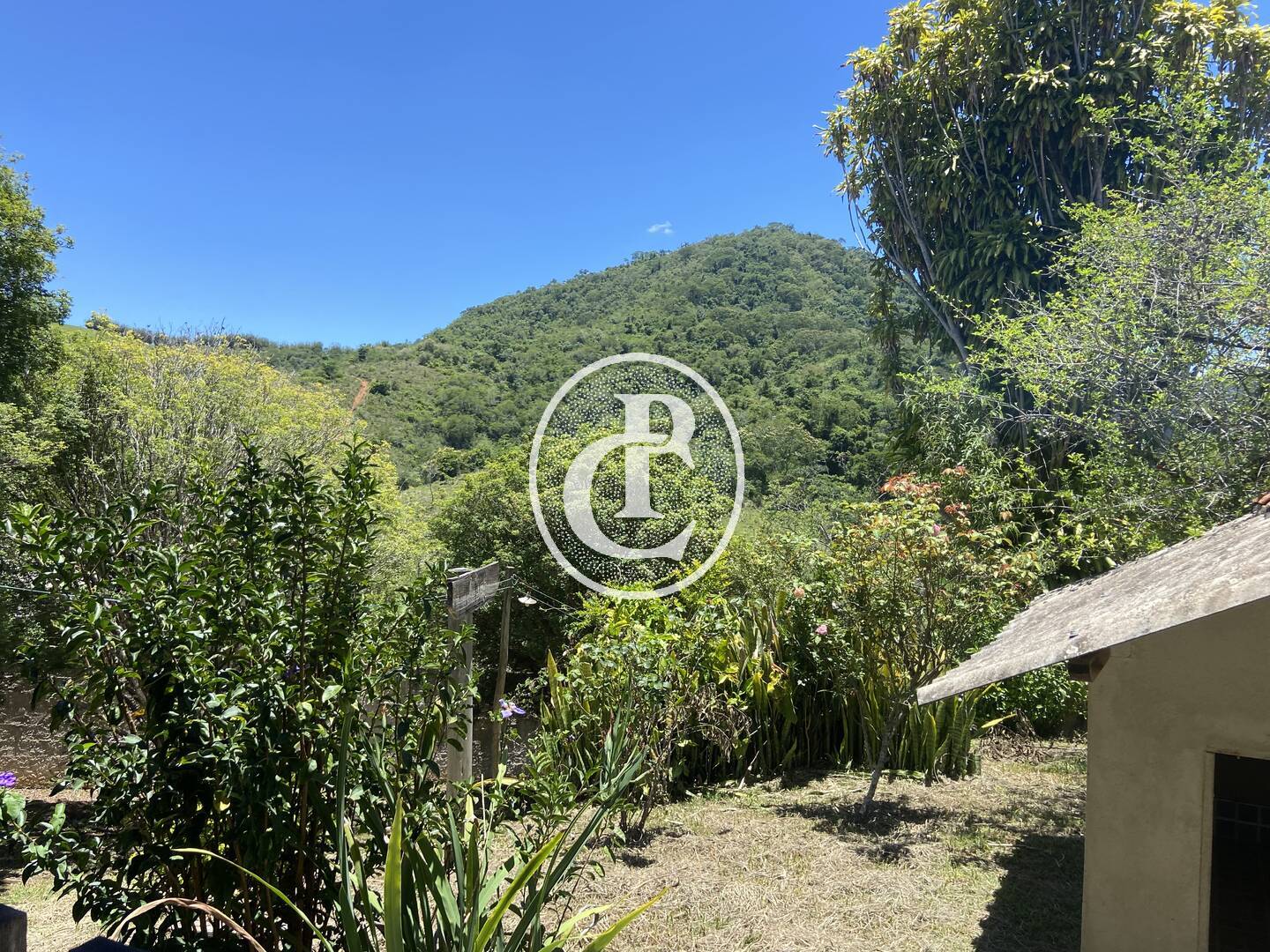Chácara, 3 quartos, 6000 m² - Foto 11