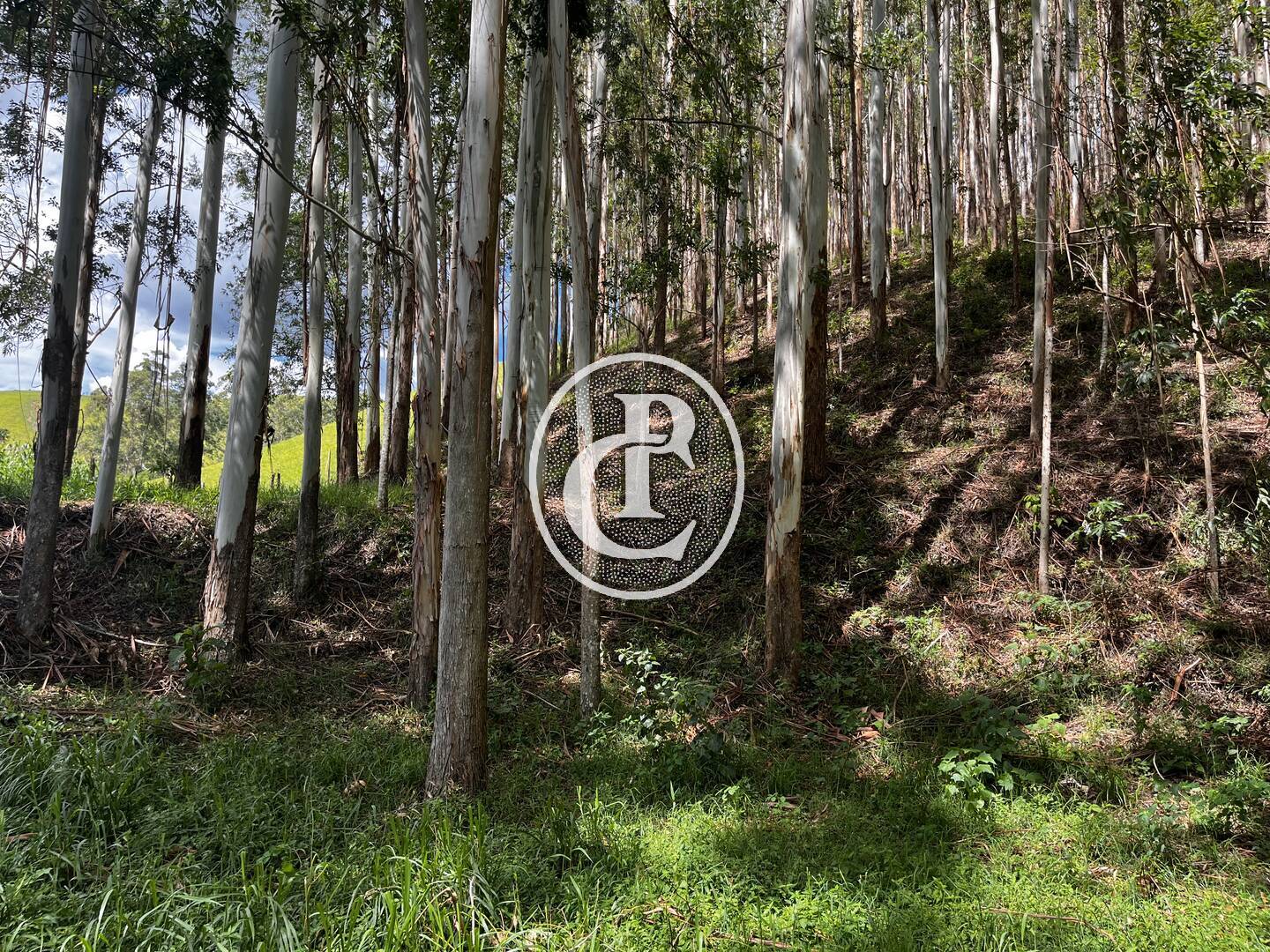 Terreno, 8470 m² - Foto 5
