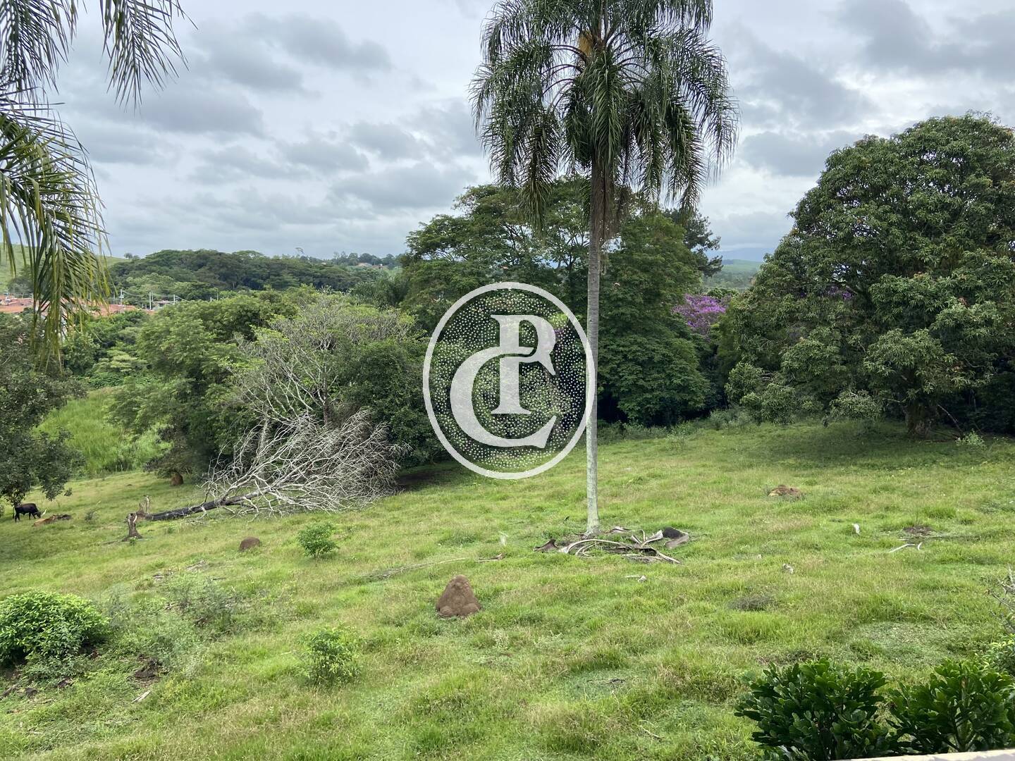 Chácara, 10 quartos, 4 hectares - Foto 27