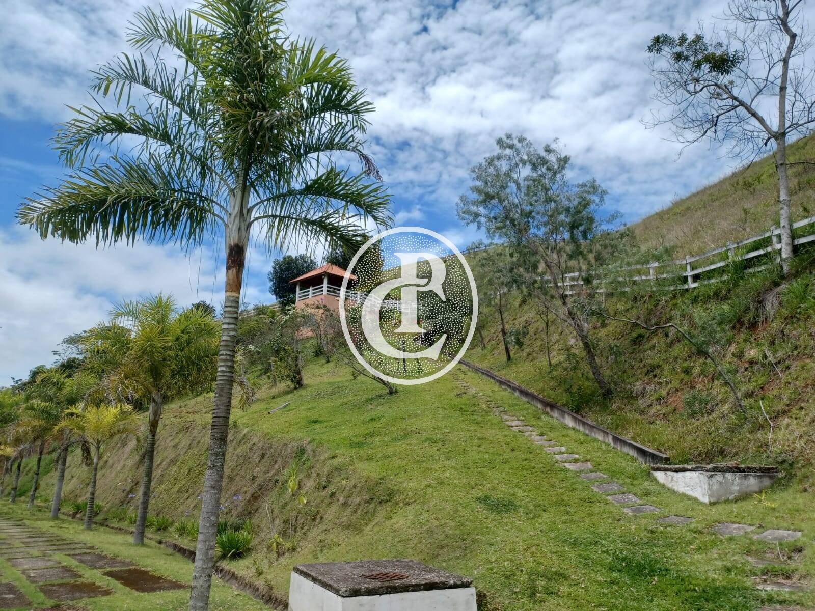 Sítio, 3 quartos, 46 hectares - Foto 50