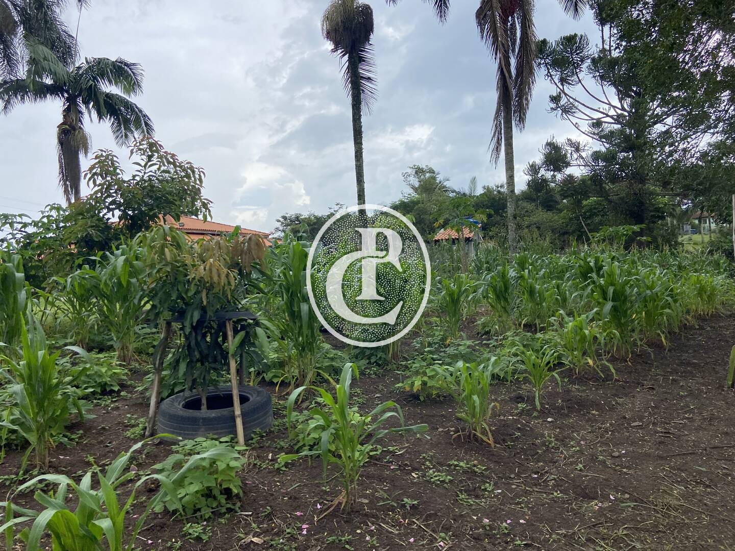 Chácara, 3 quartos, 1 hectares - Foto 30