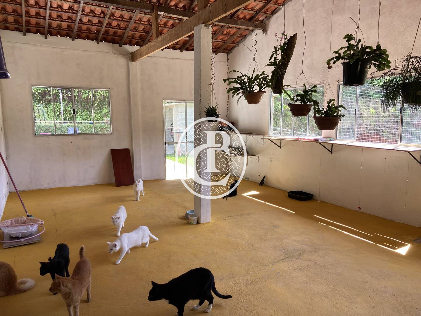 Chácara, 2 quartos, 5000 m² - Foto 6