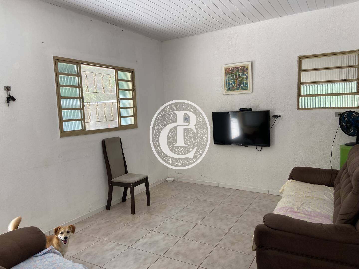 Chácara, 2 quartos, 5000 m² - Foto 16