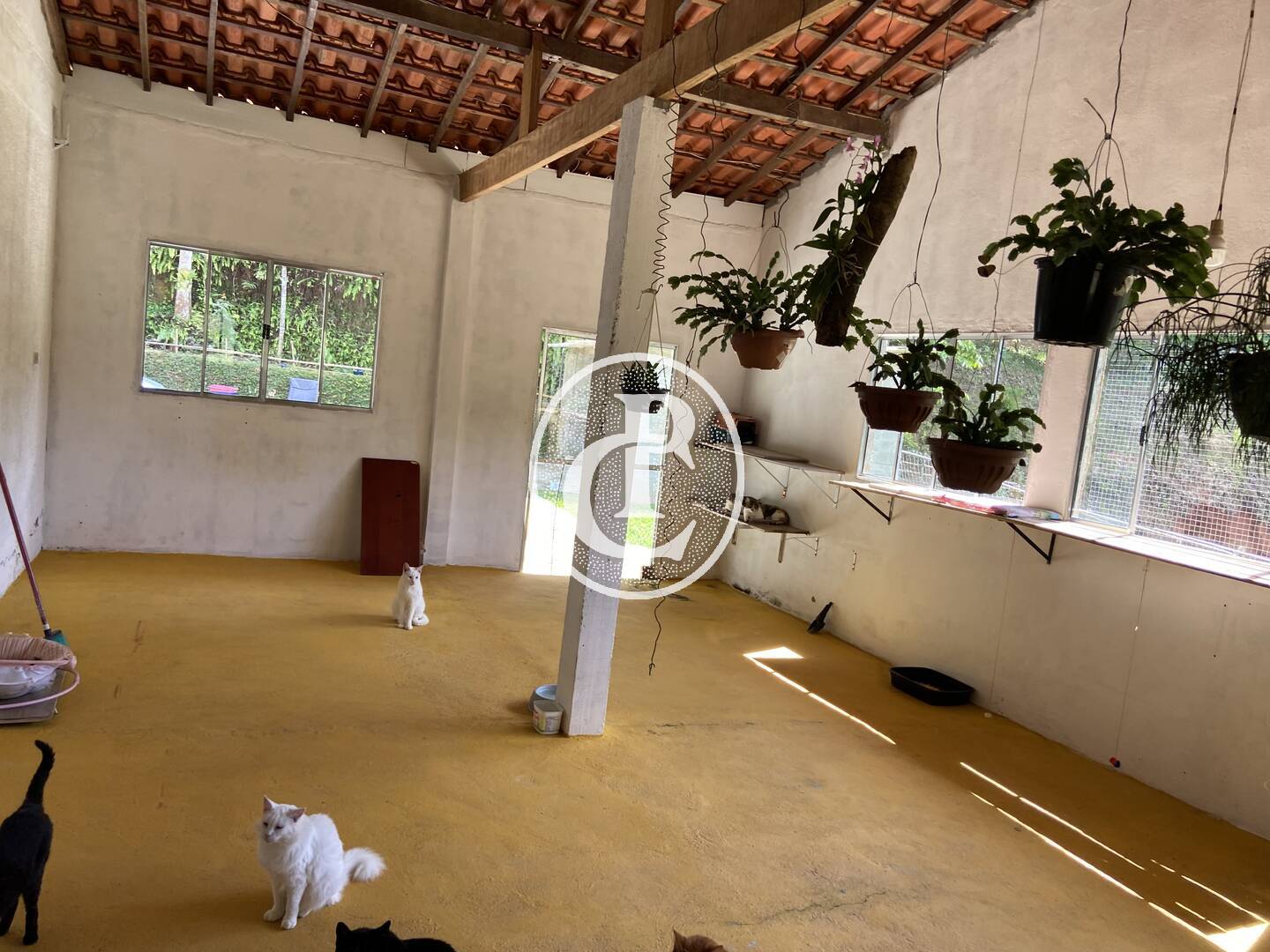 Chácara, 2 quartos, 5000 m² - Foto 19