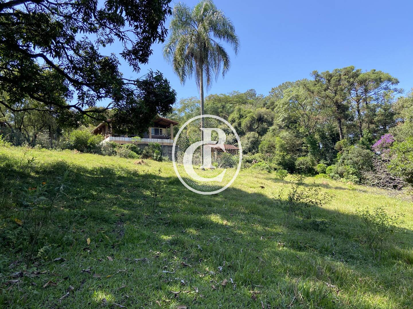 Chácara, 10 quartos, 4 hectares - Foto 46