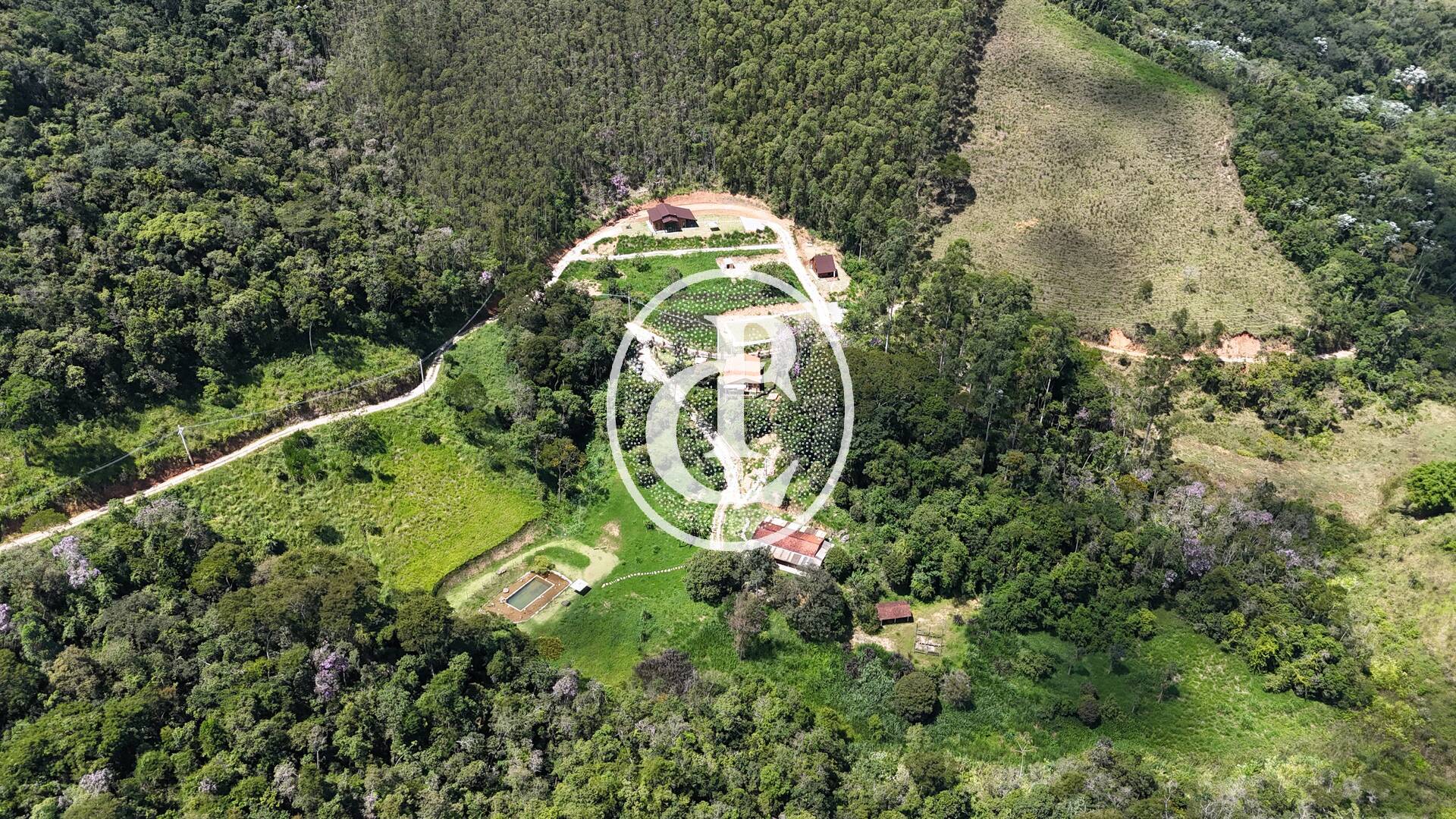 Sítio, 6 quartos, 3 hectares - Foto 6