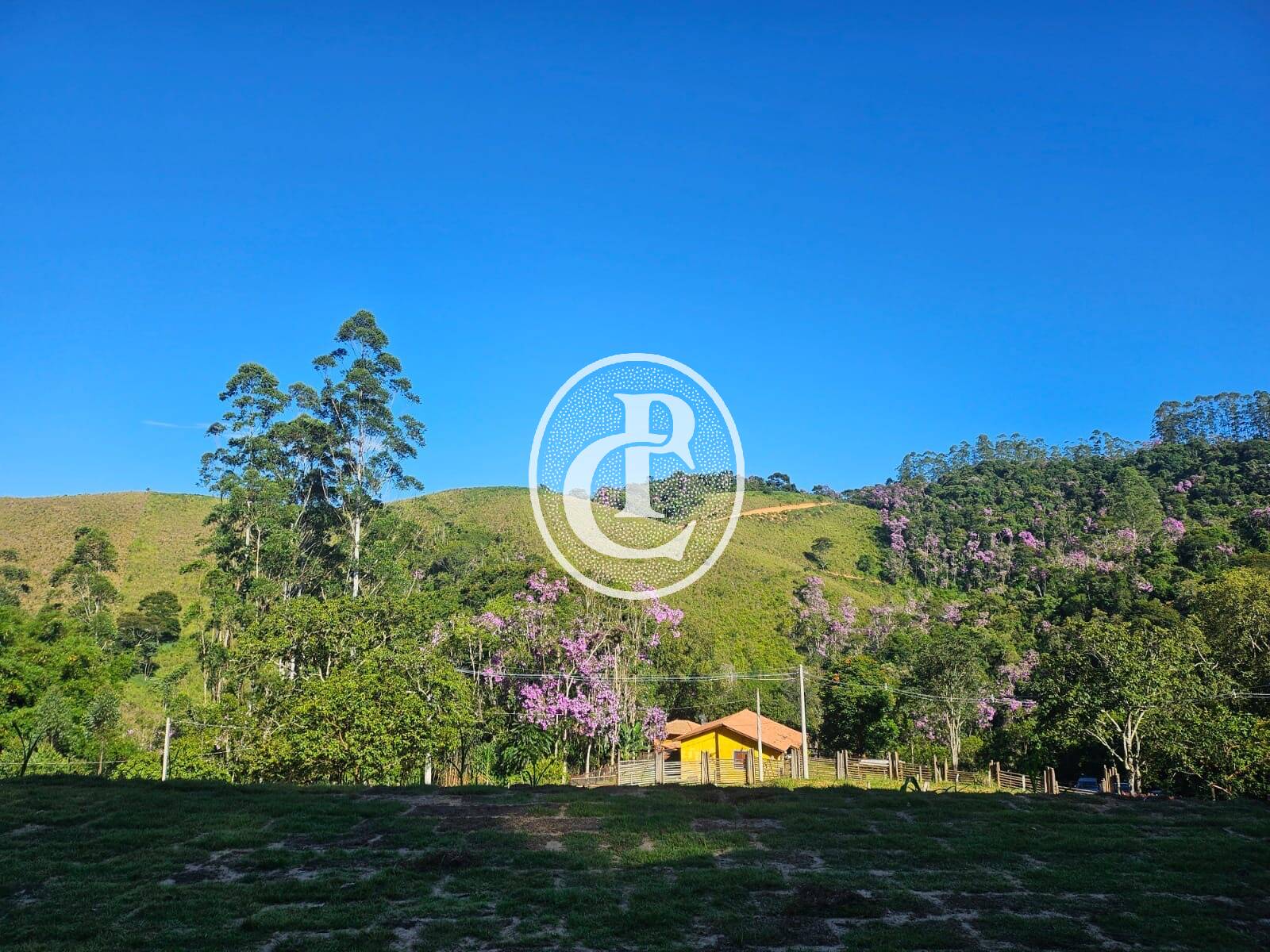 Sítio, 6 quartos, 3 hectares - Foto 12