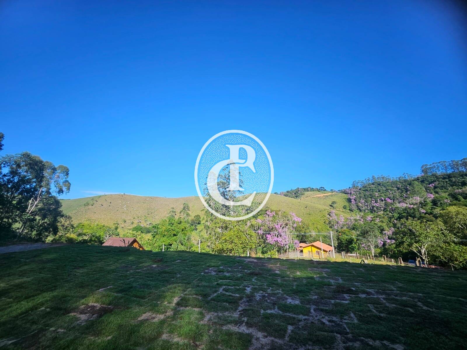 Sítio, 6 quartos, 3 hectares - Foto 14
