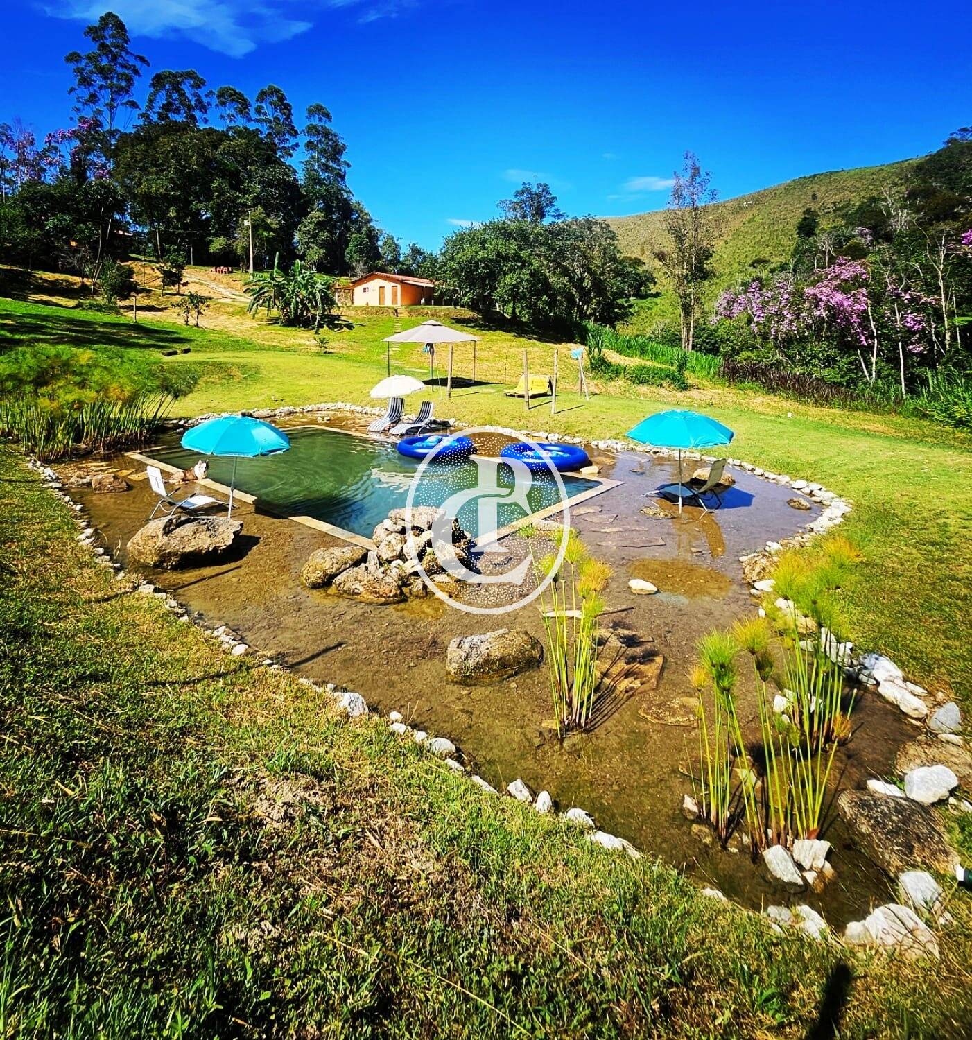 Sítio, 6 quartos, 3 hectares - Foto 18