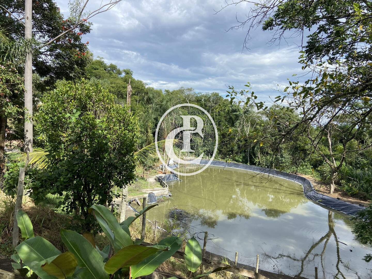 Sítio, 3 quartos, 2 hectares - Foto 45