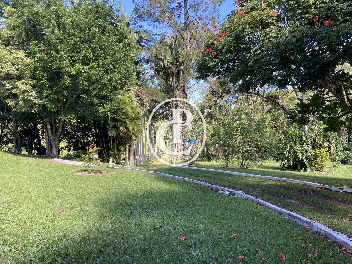 Sítio, 4 quartos, 24 hectares - Foto 17