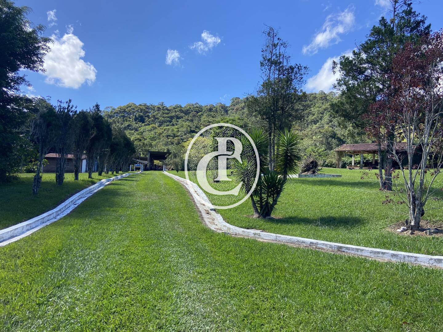 Sítio, 4 quartos, 24 hectares - Foto 35