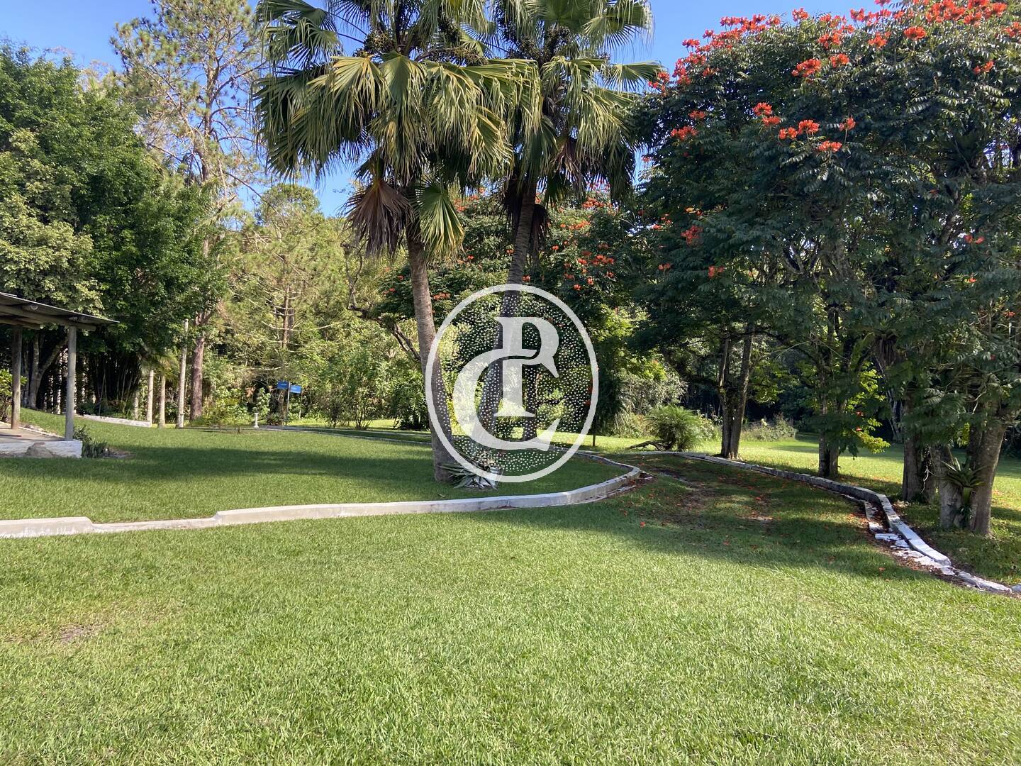 Sítio, 4 quartos, 24 hectares - Foto 37