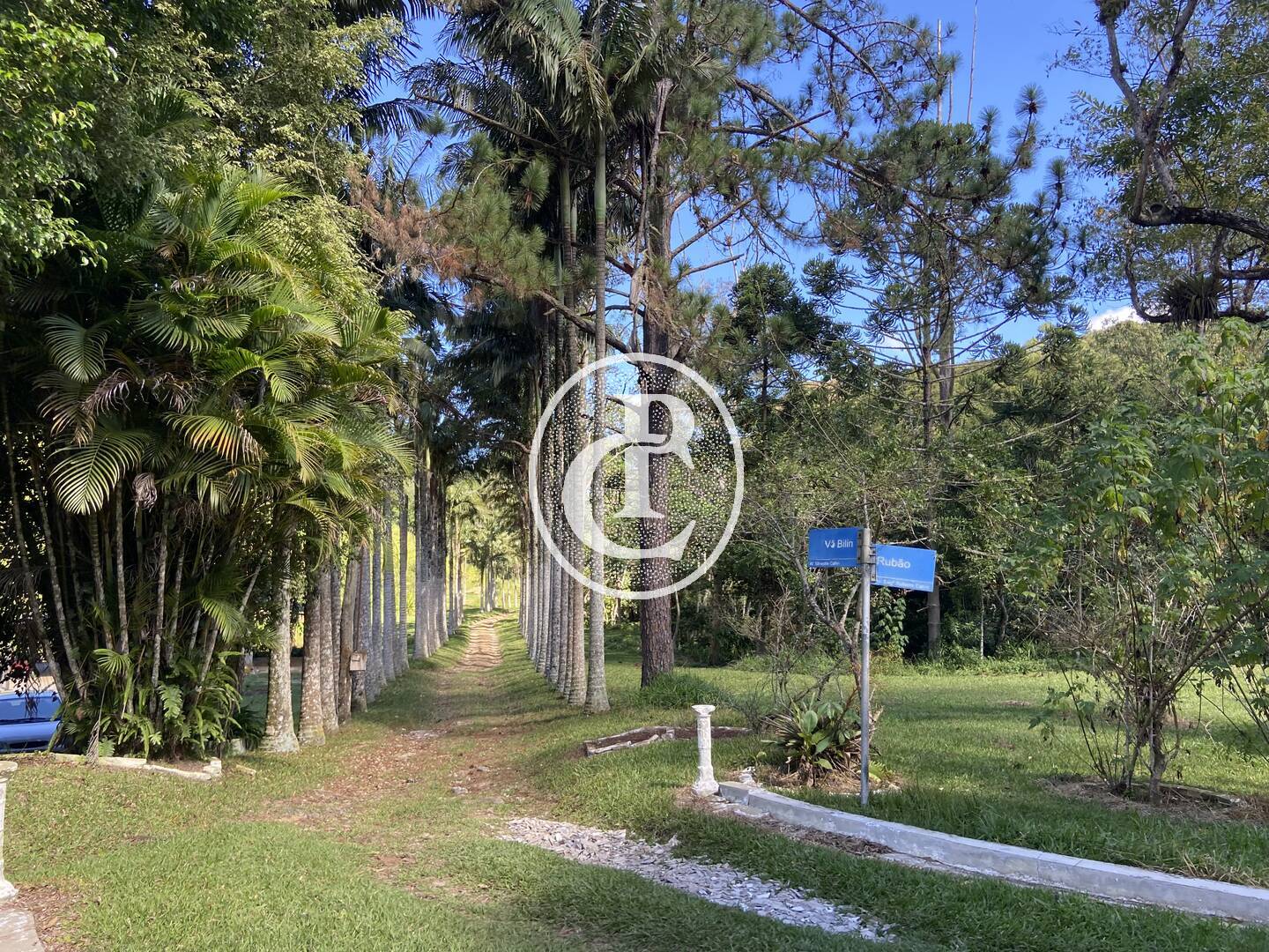 Sítio, 4 quartos, 24 hectares - Foto 40