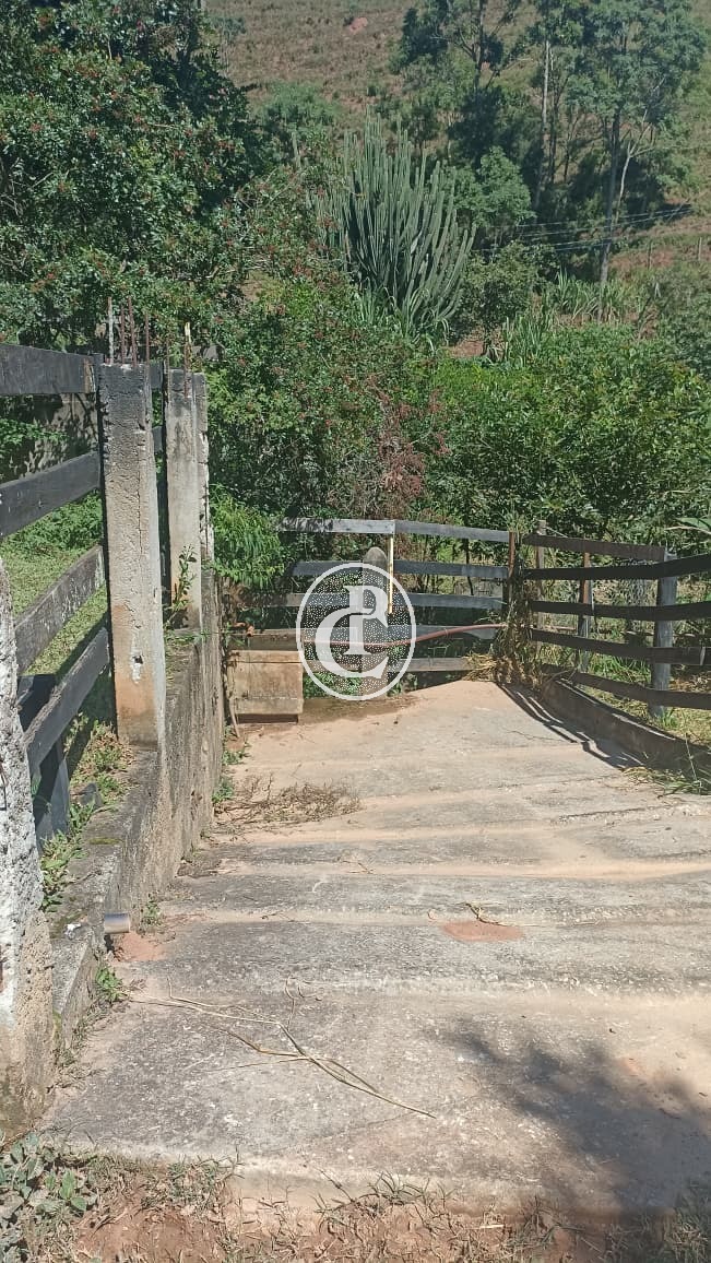 Sítio, 2 quartos, 11 hectares - Foto 40