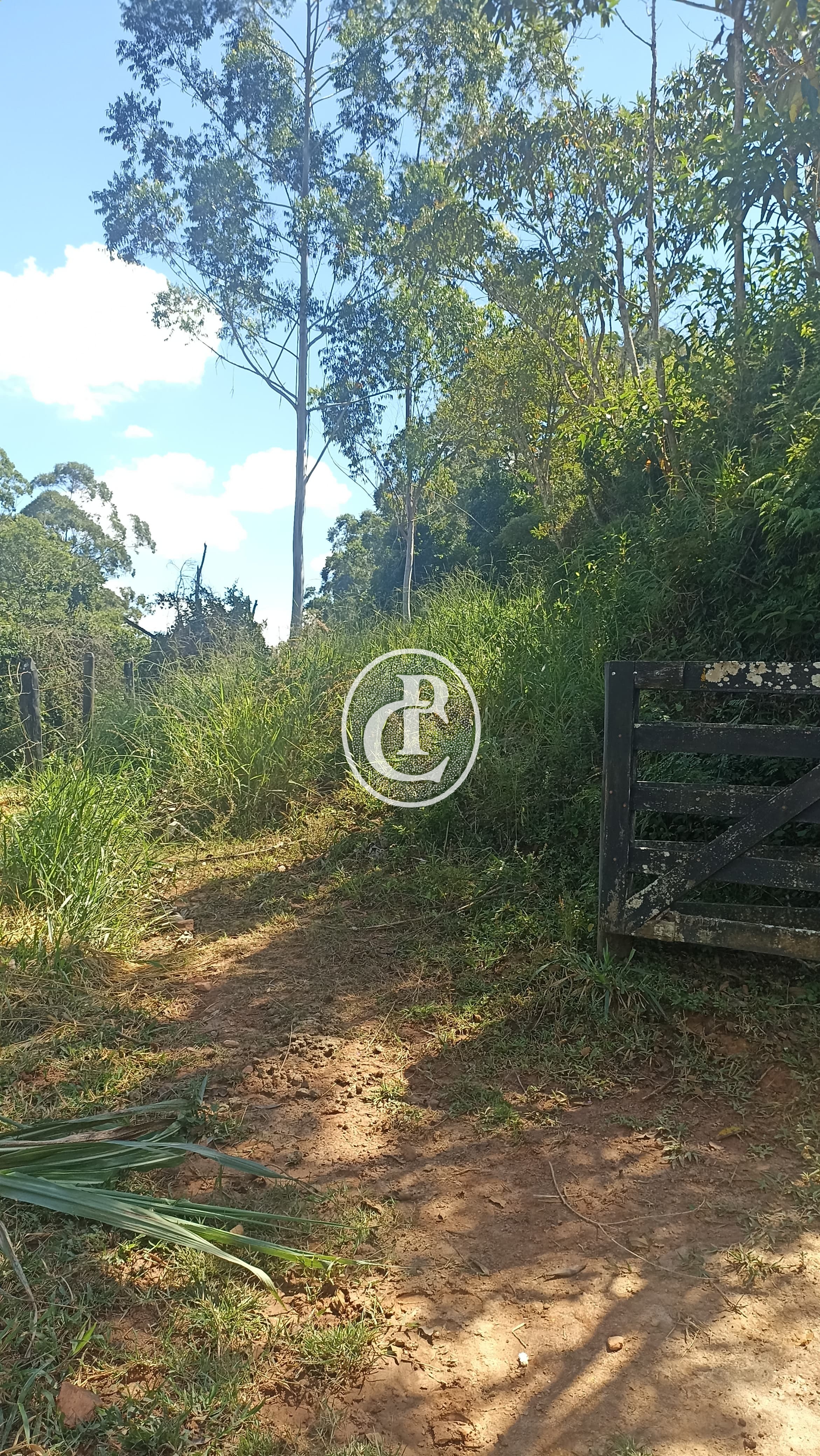 Sítio, 2 quartos, 11 hectares - Foto 47