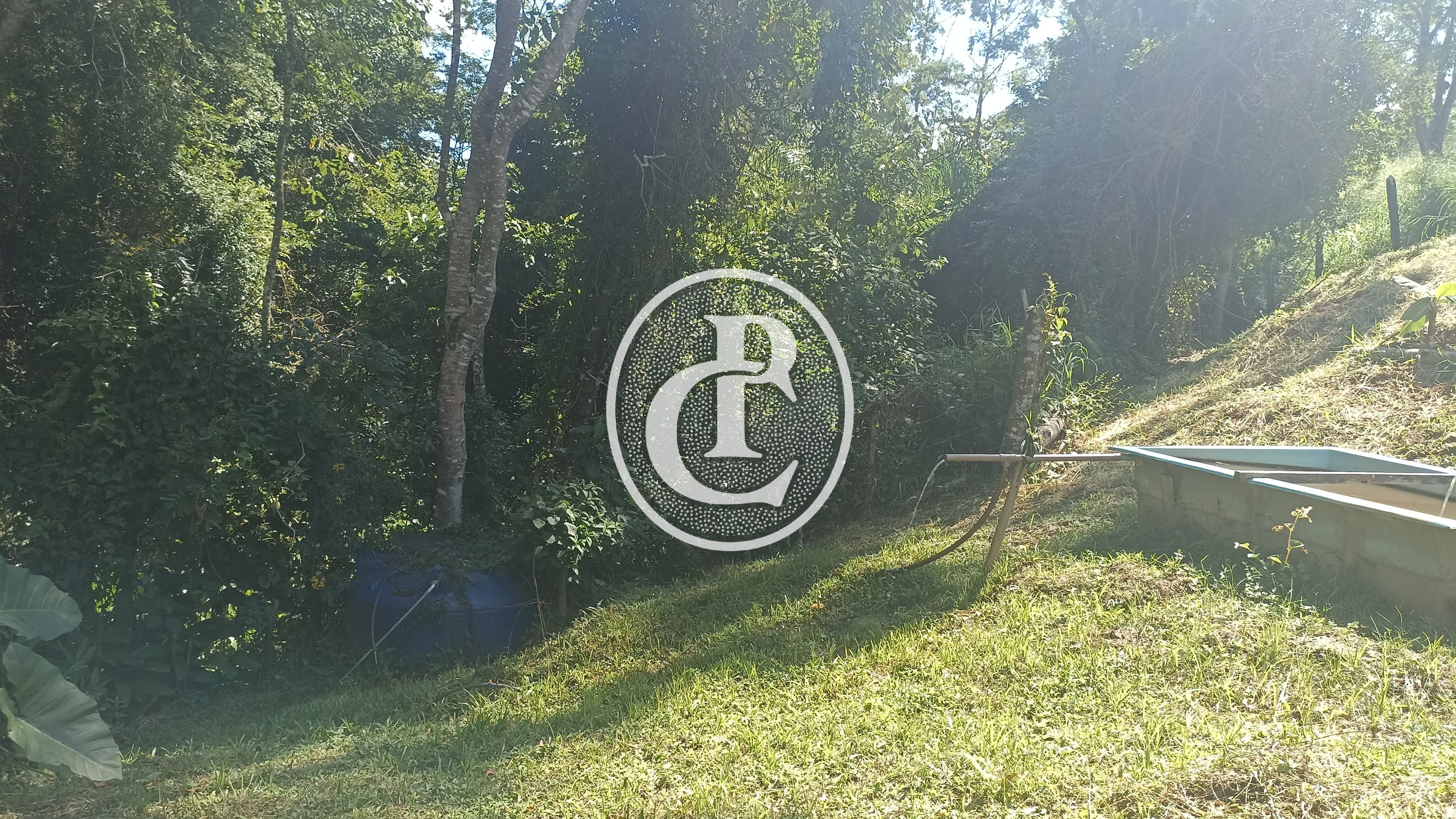 Sítio, 2 quartos, 11 hectares - Foto 49