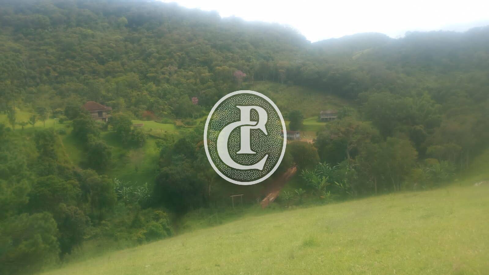 Sítio, 3 quartos, 34 hectares - Foto 6
