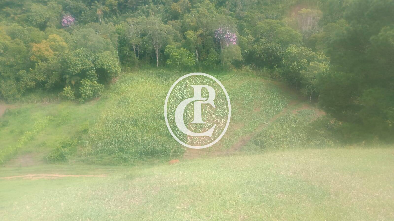 Sítio, 3 quartos, 34 hectares - Foto 10