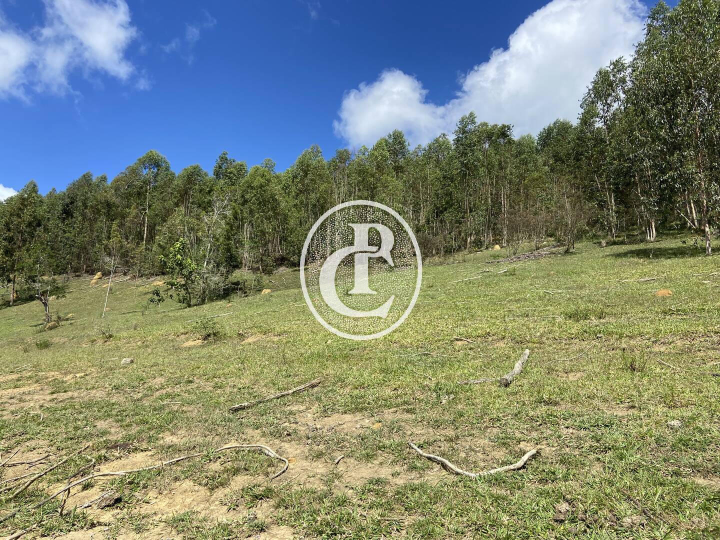 Terreno, 10 hectares - Foto 12