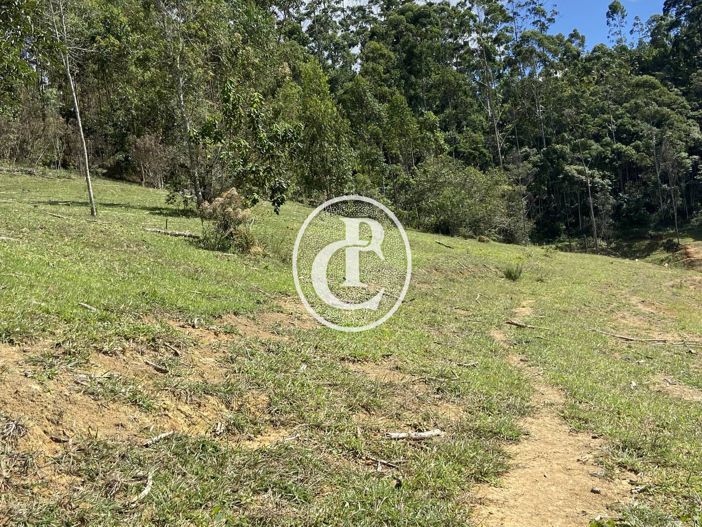Terreno, 10 hectares - Foto 13