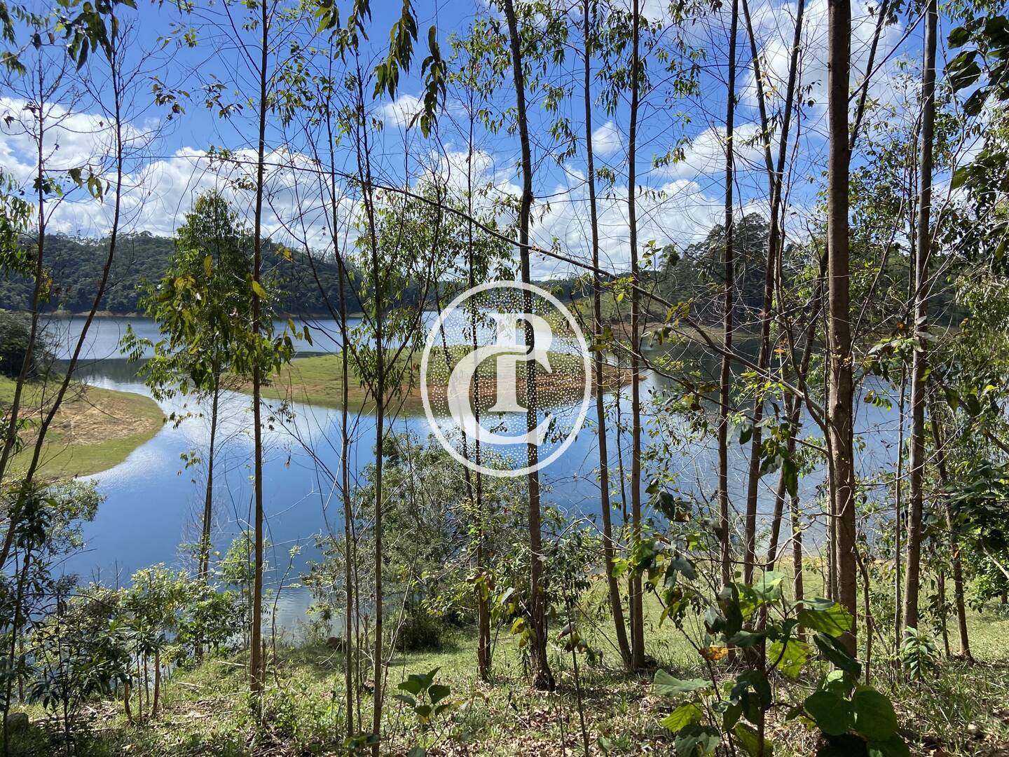 Terreno, 10 hectares - Foto 17