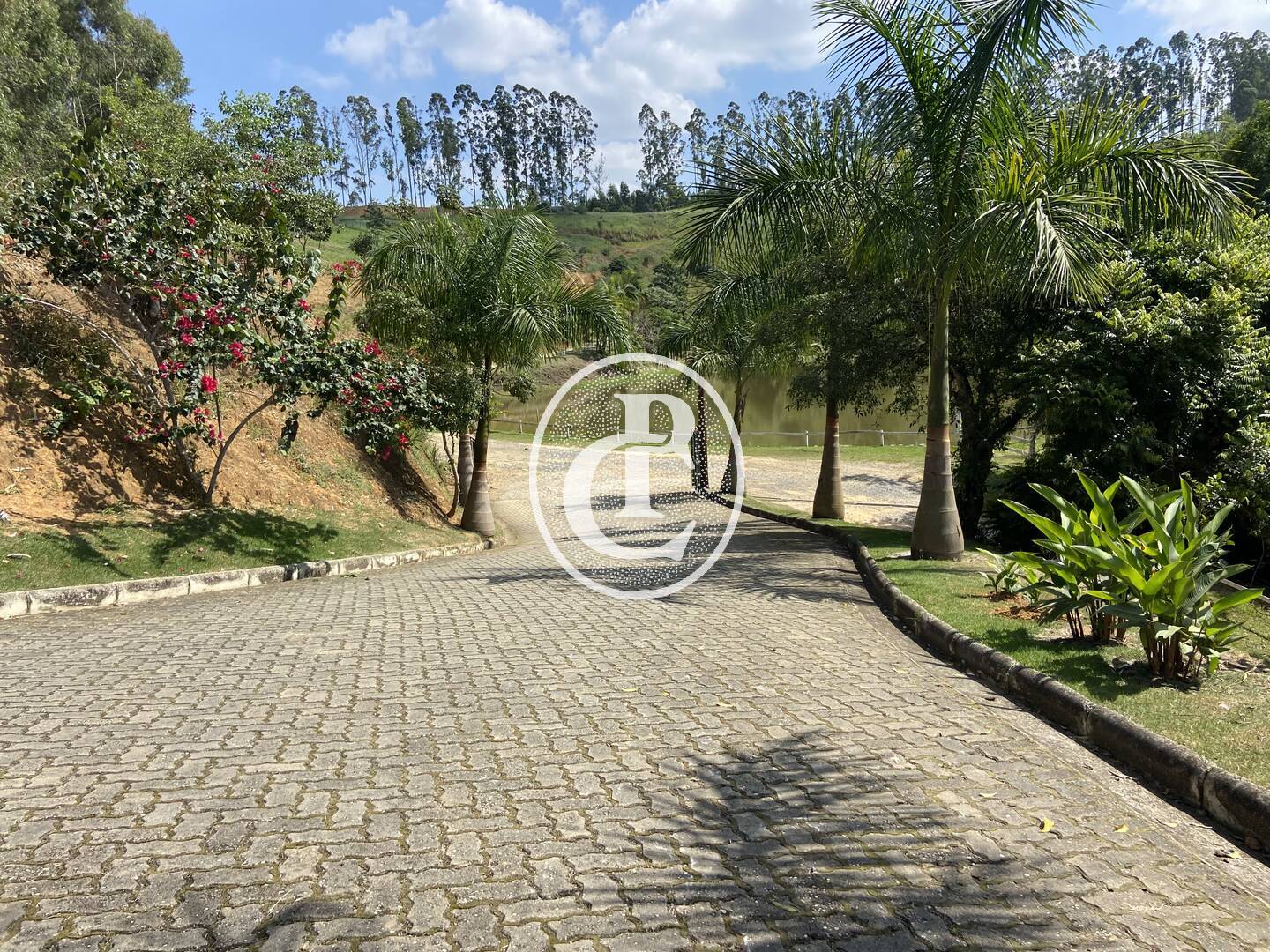 Sítio, 4 quartos, 4 hectares - Foto 14