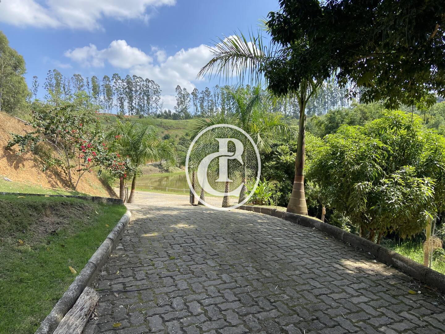 Sítio, 4 quartos, 4 hectares - Foto 17