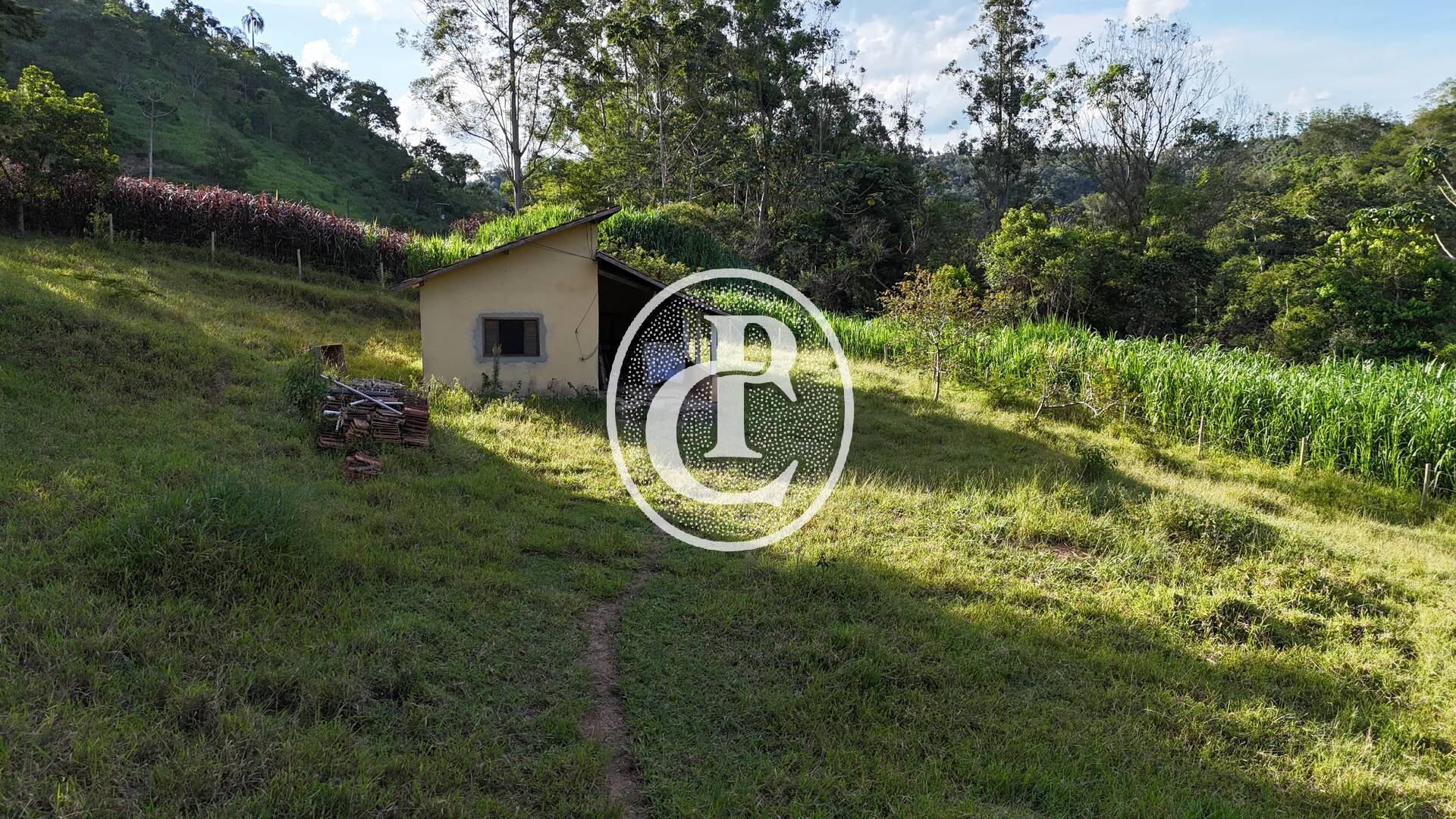 Sítio, 4 quartos, 14 m² - Foto 8